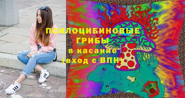 ПСИЛОЦИБИНОВЫЕ ГРИБЫ Бородино